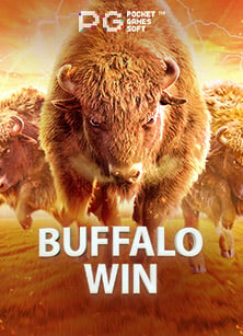 Starlight Princess แตกง่าย เกมสนุกที่ไม่ควรพลาด